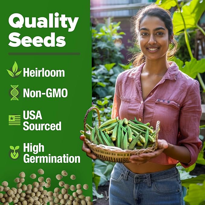 HOME GROWN Clemson Spineless Okra Seeds - 202 (2 Pack) Heirloom Vegetable Seeds, Premium Garden Seeds for Planting Outdoors (Abelmoschus esculentus)