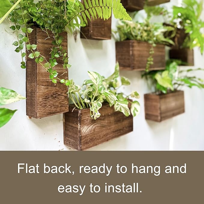 LaLaGreen Wood Planter Box for Plants (4 Pack) Wooden Hanging Wall Planters for Indoor Plant Holder Vase for Dried Flowers, Modern Living Room Bedroom Kitchen Home Office Decor