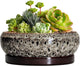 EPFamily Succulent Planter 6 Inch - Ceramic Bonsai Pots with Drainage Hole and Tray, Shallow Plant Pot Indoor Outdoor, Cactus Succulent Pot, Round Bonsai Planter, Home Decor, Plant Lover Gift, White
