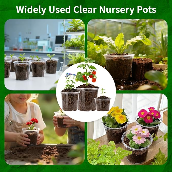 Plgardpo Clear Nursery Pots, 4/5/6 Inch Transparent Plastic Plant Pots with Drainage Holes, Variety Pack Seed Starting Pots, Flexible Clear Flower Pots for Indoor Outdoor Plants, 24 Packs
