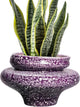 Teagas Ceramic Planters - 11 Inch Ceramic Pots for Plants with Drainage Hole, Decorative Planters for Indoor Outdoor, Unique Flower Pots, Garden Office House Decor, Gifts for Plants Lover, Purple