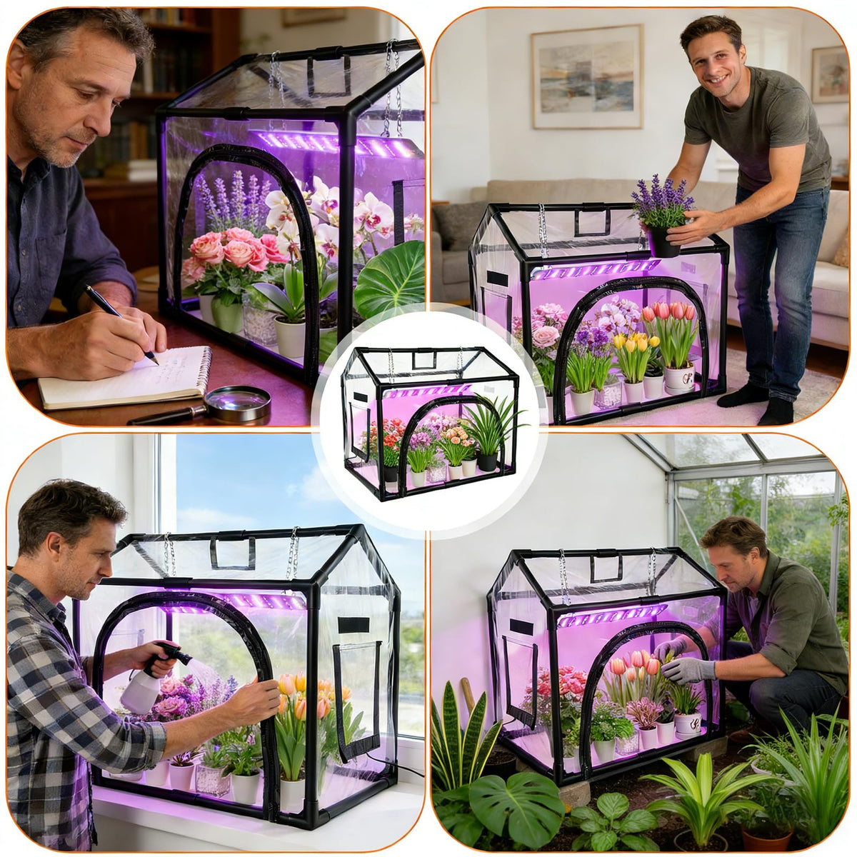 Heliotera Mini Greenhouse with Grow Light for Indoor Seed Starting (Black)