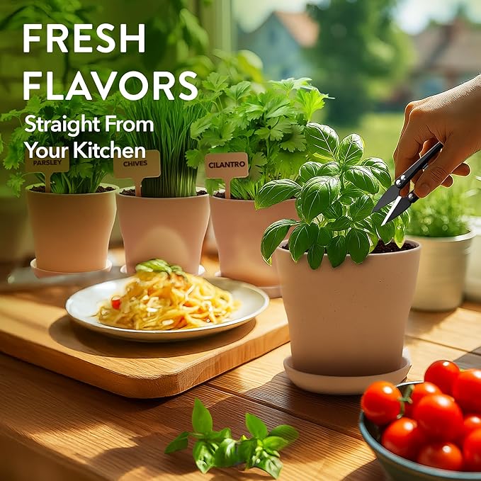 HOME GROWN Herb Garden Planter Indoor Kit – Unique Christmas Gift for Adults, Men, & Women - Grow 4 Heirloom Herb Seeds on Kitchen Window – Beginner DIY Craft & Hobby Gardening Gift for Plant Lovers