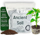Elm Dirt Premium Ancient Soil for All Plants - Organic Plant Soil for Outdoor Plants & Indoor Plant Soil | Garden Soil for Plant Nutrients Growth & Protect your Plants Bugs - Roots Organic Soil (2lbs)