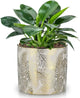 Oairse Small Ceramic Pot for Indoor Plants, 5.3 inch Plant Pot with Drainage Hole Decorative Texture Gold Planter Indoor Outdoor Flower Pots for Succulent Snake Plant Pothos Orchid