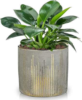 Small Ceramic Pot for Indoor Plants, 5.3 inch Plant Pot with Drainage Hole Decorative Texture Gold Planter Indoor Outdoor Flower Pots for Succulent Snake Plant Pothos Orchid