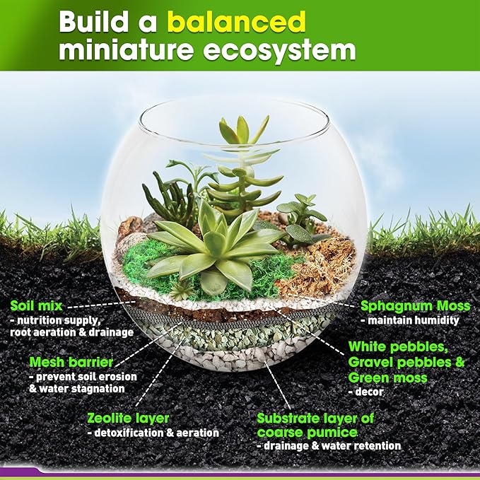 DUSPRO Recycle Terrarium Kit, Include Potting Soil, Pumice, Zeolite, Green Moss, Sphagnum Moss, Decorative Stone, Mesh, Tools, DIY Terrarium Kit for Kids, Air Plant, Succulent