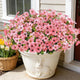 16PCS Fake Flowers for Outdoors, Realistic Fake Artificial Flowers for Outside, No Fade Faux Eucalyptus Plants for Outdoor Planter, Window Box, Hanging Basket - Porch Patio Garden Decor
