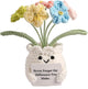 YOOJEE Forget-Me-Not Crochet Flower Potted Plant Gift