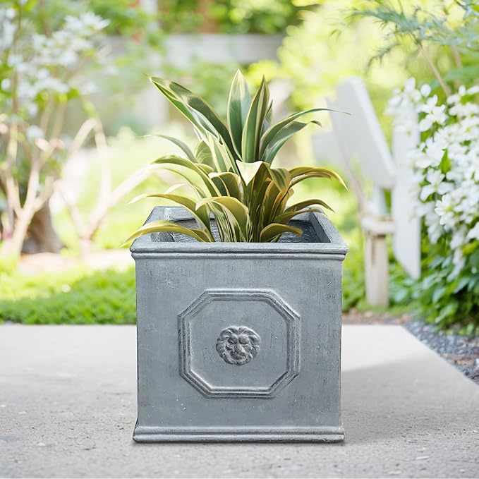 Kante Square Lion Head Concrete Planter, Classic English Style Plant Pot with Drainage Hole and Rubber Plug for Indoor Outdoor Garden Patio Home, 12.6"x12.6"x12.6" Gravel Gray