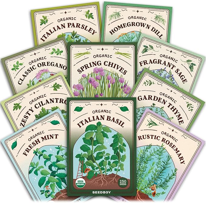 Seedboy Organic Non GMO 10 Herb Variety Pack: Basil, Cilantro, Mint, Oregano, Parsley, Thyme, Chives, Dill, Sage, Rosemary for Planting Indoor and Outdoor, USDA Certified (10 Herb Variety Pack)