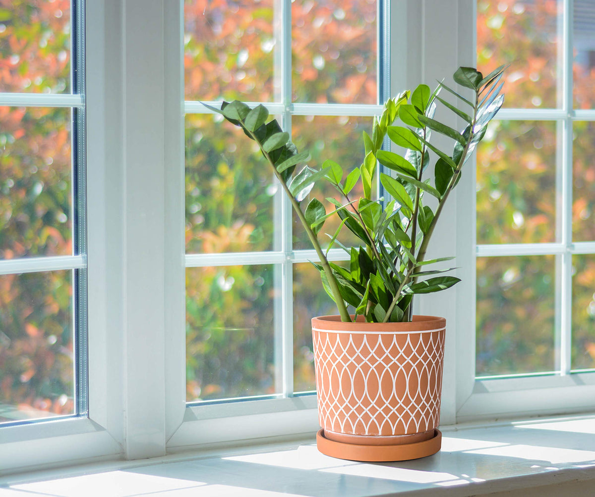 D'vine Dev 2-Pack Terracotta Pots with Saucers, 4/6 in, 31-958-C-1
