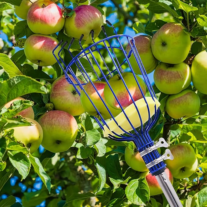 Fruit Picker Tool with Basket & Foam Pad, 35-157 Inch Adjustable Stainless Steel Picking Pole - for Harvesting Lemon Avocado Apple Mango Pear Orange & Tall Tree Fruits