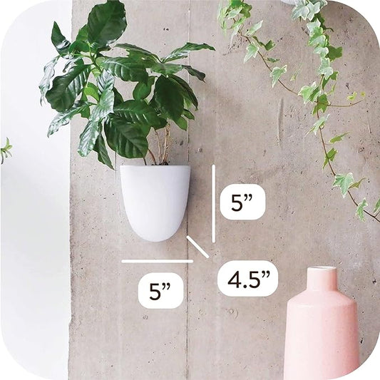 Make Good PlantPod Luxe - Self-Watering Wall Planters (Set of 6) - Easy to Water and Install - Lightweight - Design Your Own Vertical Garden - Wall Planters for Indoor Plants