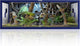Phailozoo 85 Gallon Snake Enclosure, Front Opening Reptile Tank for Easy Maintenance, Reptile Terrarium with Top Screen Ventilation 48''x24''x18''