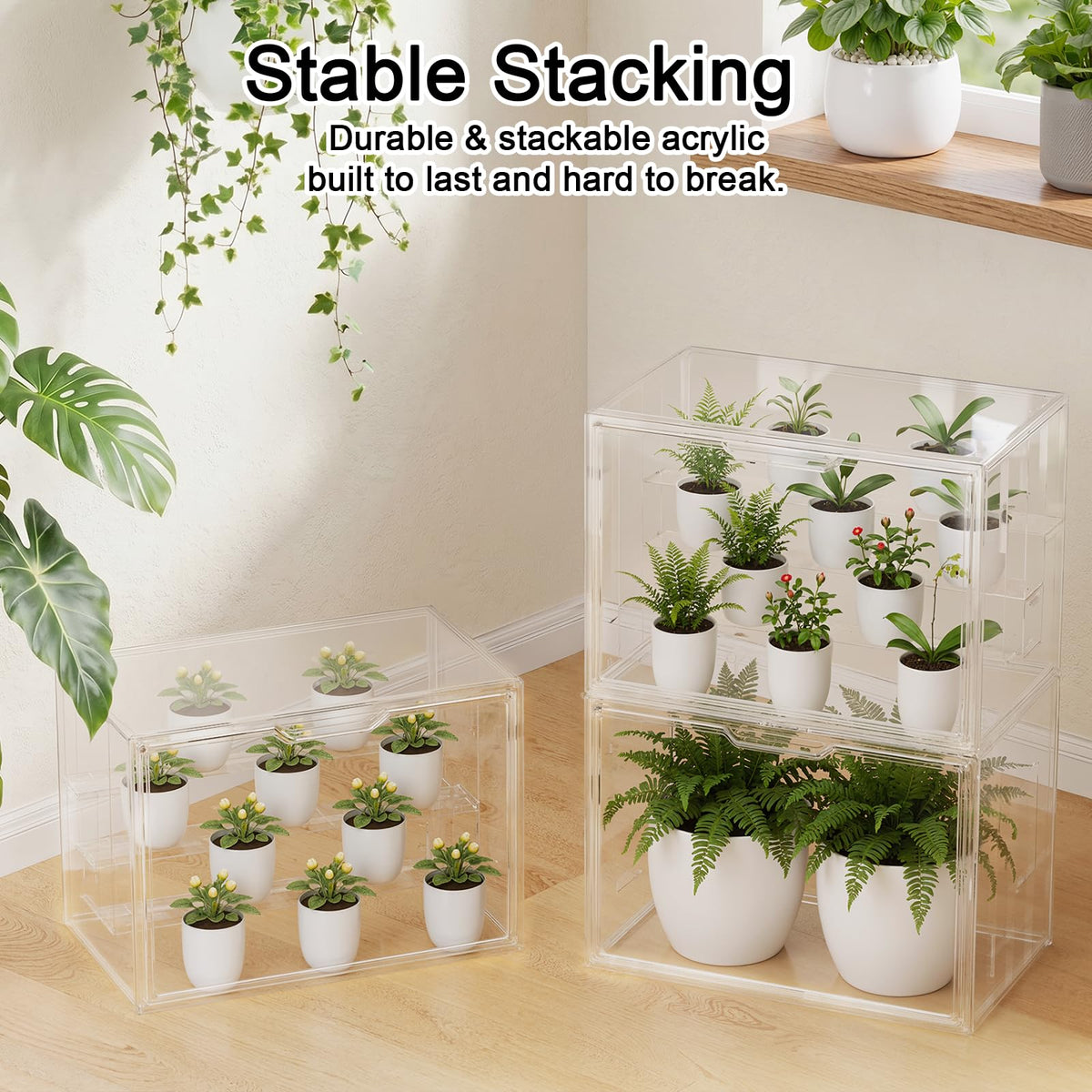 Clear Mini Indoor Greenhouse, with Hygrometer and Grow Light, 1-Pack