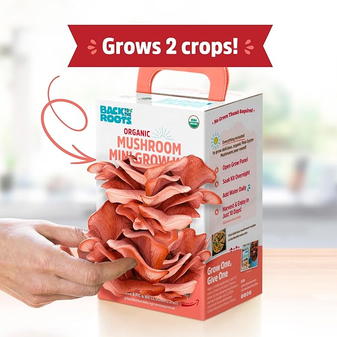 Back to The Roots Organic Pink Miniature Mushroom Grow Kit, Harvest Gourmet Mushrooms in 10 Days
