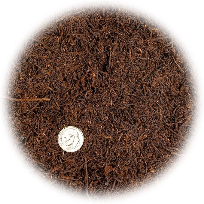 Premium New Zealand Tree Fern by GARDENERA - Orchid and Epiphytal Plants Growing Medium and Reptile Substrate - 2 Quart Bag