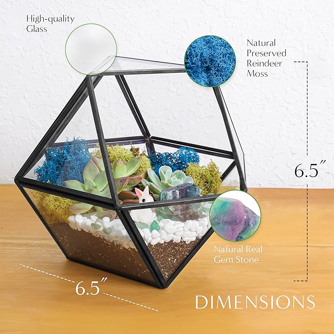 Creations by Nathalie DIY 7" Geometric Terrarium Kit with Live Plants - Build Your Own Glass Terrarium for Adults & Kids with Moss, Crystals, Tools & Decor - Mini Ecosystem - Handcrafted in The USA