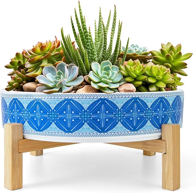 ARTKETTY Succulent Pots - 11 Inch Large Plant Pots Ceramic Bonsai Pots with Drainage Stand, Shallow Succulent Planters for Indoor Plants Decorative Flower Cactus Planter Bowl