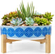 ARTKETTY Succulent Pots - 11 Inch Large Plant Pots Ceramic Bonsai Pots with Drainage Stand, Shallow Succulent Planters for Indoor Plants Decorative Flower Cactus Planter Bowl