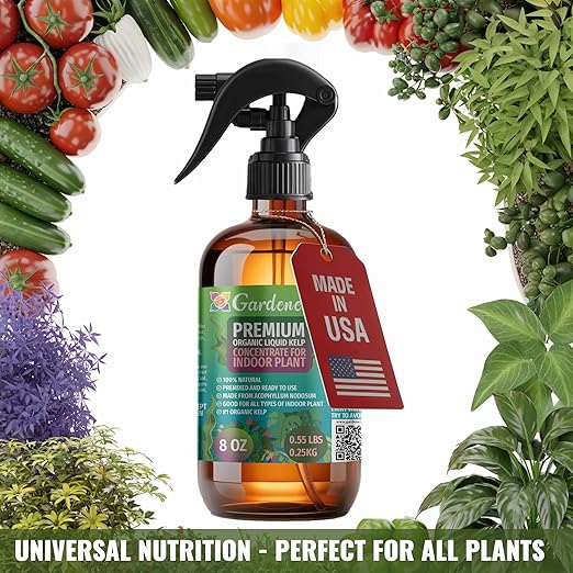 GARDENERA Professional Organic Liquid Kelp Spray for Spider Plant Plants - 8 oz - Ready-to-Use Fully Organic Seaweed & Kelp Fertilizer Mist