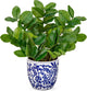 Briful Faux Plants Indoor 15.7in Fake ZZ Silk Plant in Blue and White Ceramic Pot Realistic Artificial Tropical Plant for Home Office Room Kitchen Shelf Decor