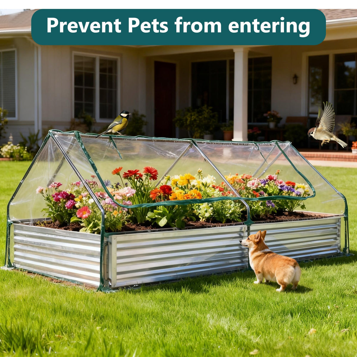 NEWBULIG Galvanized Raised Garden Bed with Cover, 8x4x1ft, Clear