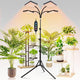 4-Head Grow Light with Stand 100W, FECiDA 2025 Grow Lights for Indoor Plants, Full Spectrum LED Plant Grow Light for Houseplants, Bonsai Tree, 4,8,12,16 Hr Timer and 360° Gooseneck