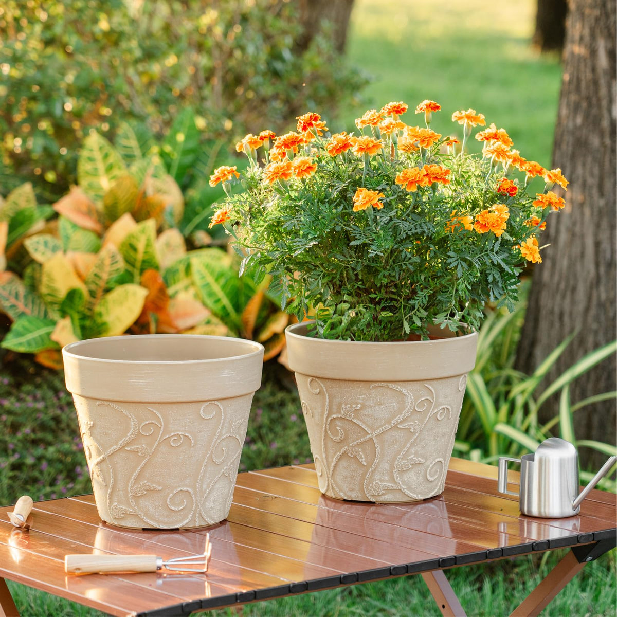 Melphoe Plant Pots Indoor with Drainage & Saucer, 2Pack 10 inch Flower Pots Outdoor Planters for Indoor Plants Garden Home Decor Cactus Succulent, Rigid Plastic (Imitation-Terracotta) Vine-Embossed