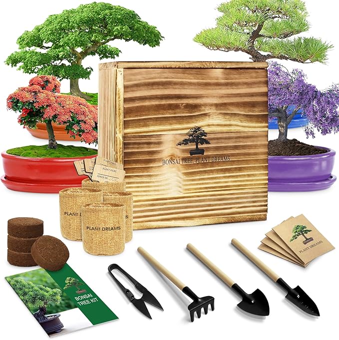 Bonsai Tree Starter Kit for Beginners - Indoor Live Plant Gardening Adult Craft DIY Kits - Unique Christmas, Birthday, White Elephant Gifts for Women, Men & Kids