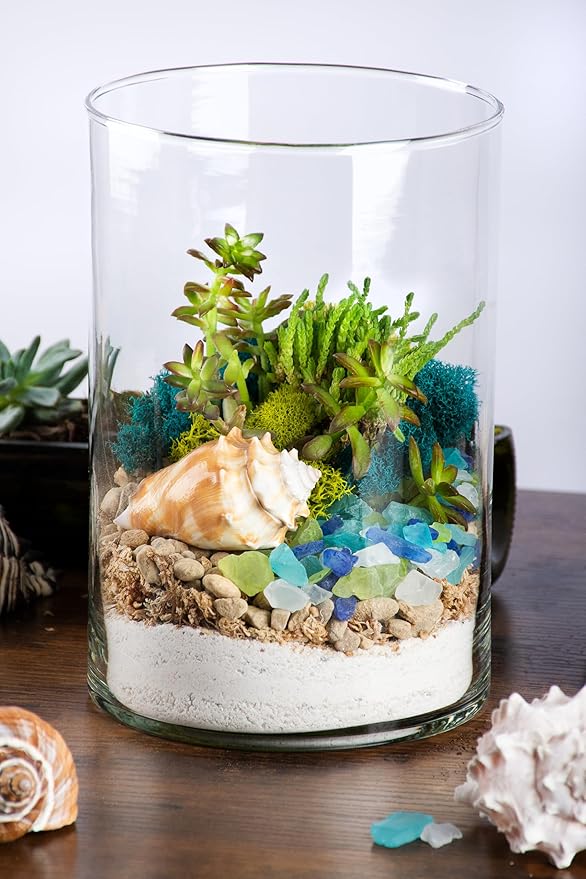 SuperMoss (90420) Beach Terrarium DIY Kit – Create Stunning Nature-Inspired Mini Gardens – Perfect for Home Decor, Office Gifts, and Plant Lovers, Appx 8 Oz