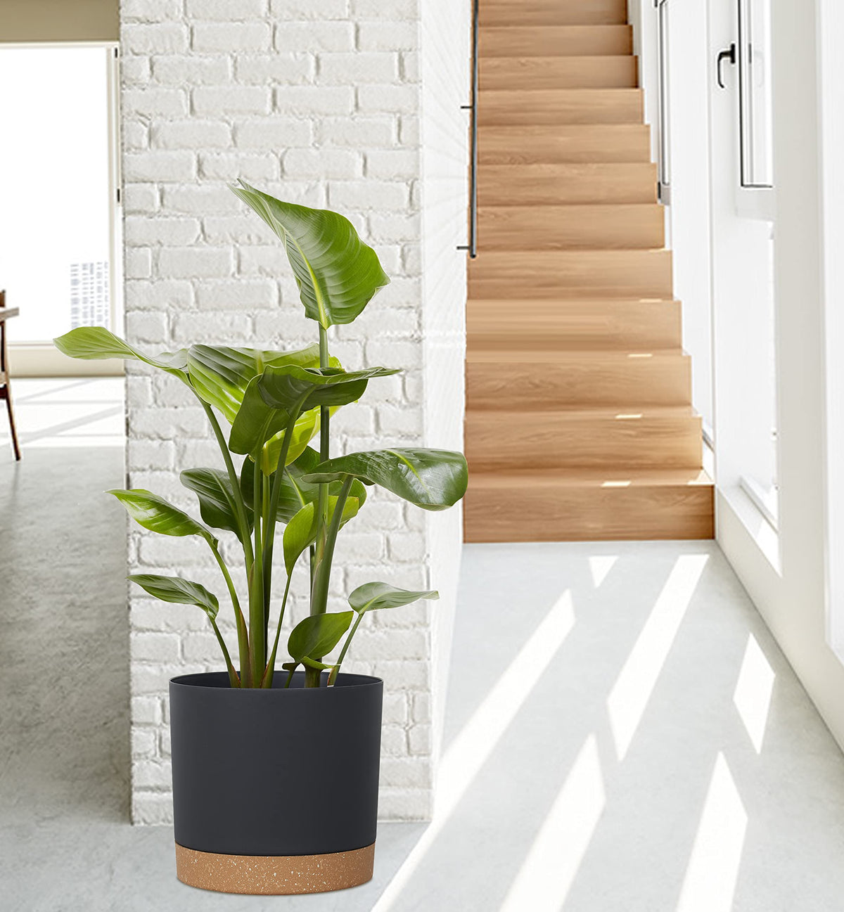 Plant Pots for Indoor Plants, 2 Pack 12 Inch Pots for Plants (12” Black)