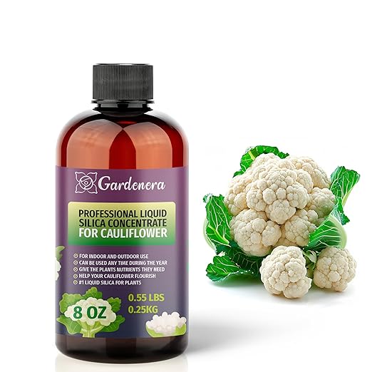 𝐏𝐑𝐄𝐌𝐈𝐔𝐌 Liquid Silica Plant Supplement - 8oz (250mL) - Cauliflower Plants Liquid Silica Boost Fertilizer - Stronger Stems & Healthy Leaves for Indoor & Outdoor Cauliflower (Makes 45 Gallons)