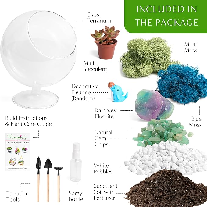 Creations by Nathalie 6" DIY Chalice Terrarium Kit with Live Plants - Build Your Own Glass Terrarium for Adults & Kids with Moss, Crystals, Soil, Tools & Figurine - Mini Ecosystem - Made in The USA