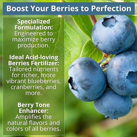 8-4-8 Acidic Fertilizer for Azaleas, Camellias (Camelia), Hydrangeas, Blueberries, Gardenias, Magnolia Trees, Evergreens, and Rhododendrons - Ideal Iron-Rich Plant Food (2 QUARTS)