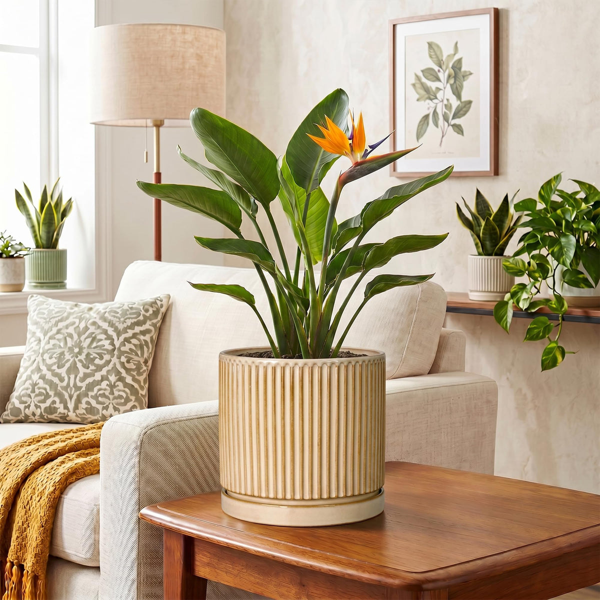 Wliror 8 Inch Flower Pot, Ceramic Planters, Round Plant Pot, Beige