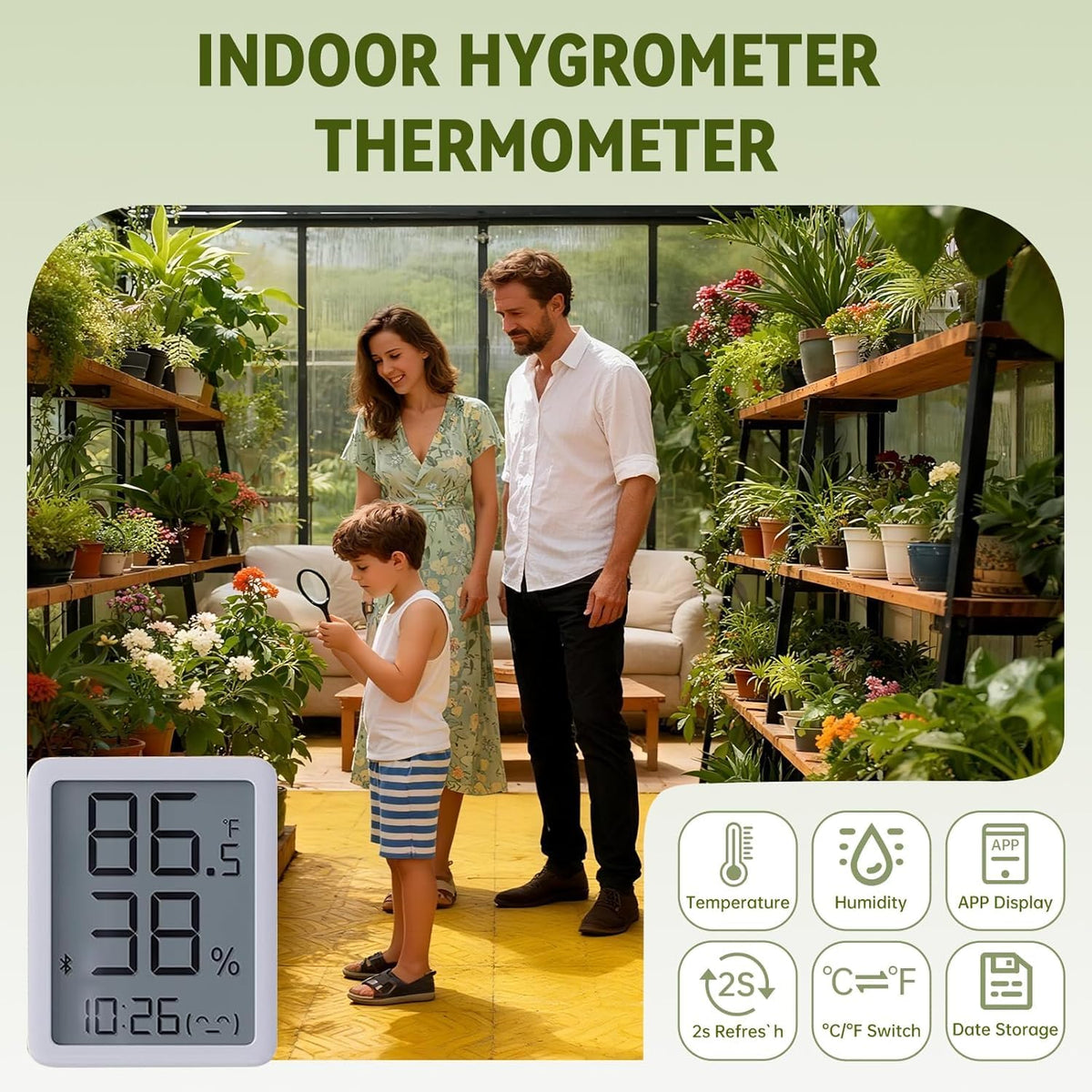 6X10 FT Greenhouse for Outdoors with Hygrometer, Polycarbonate Walk-in Green House for Outside, Reinforced Aluminum Frame Greenhouses, Heavy Duty Garden, Patio, Backyard Flower Planting