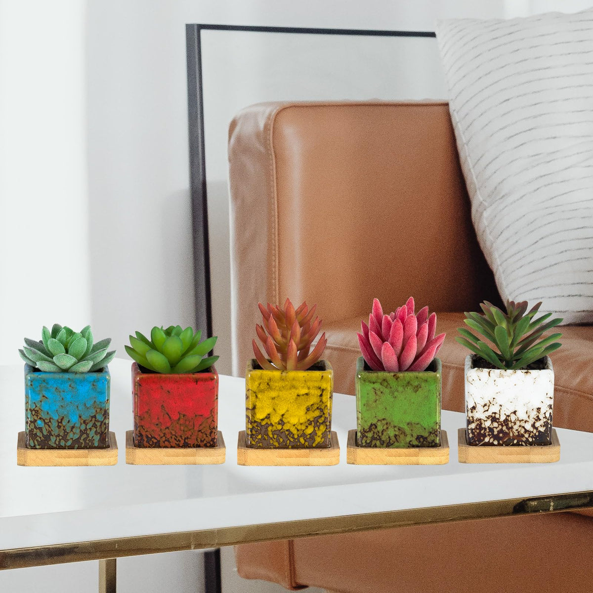 Set of 10 Succulent Pots with Drainage Trays, Small Square Plant Pots Bulk