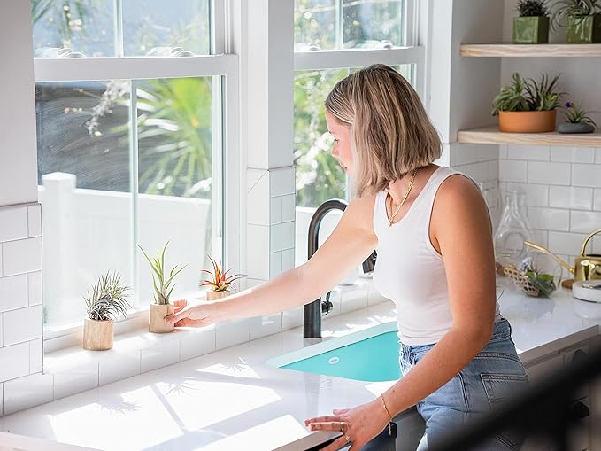 DIY Terrarium Kit with Air Plants - Air Plant Tillandsia Holder - Live Tillandsia Succulent House Plant - Wholesale and Bulk - Home and Garden Decor - Easy Care Indoor and Outdoor Plant (Diamond)