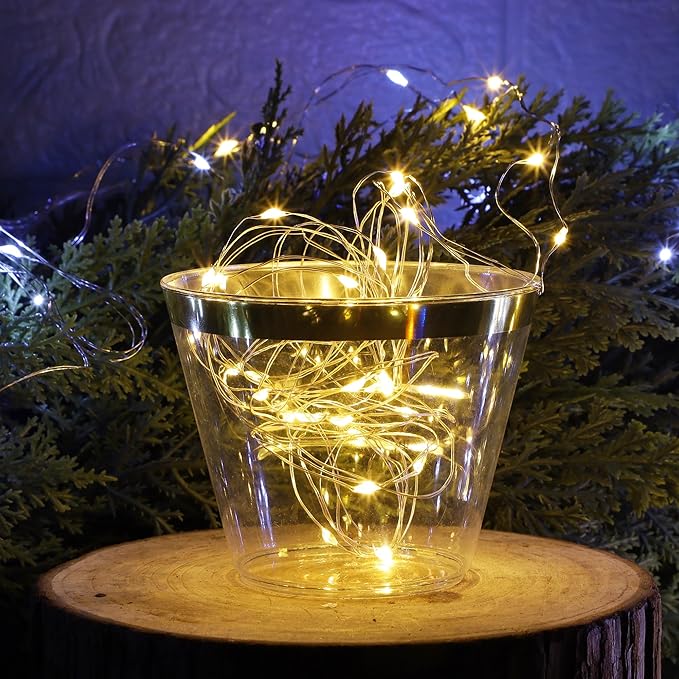 WATERGLIDE 12 Pack Fairy Lights Battery Operated (Included), 7 ft 20 LED Mini String Lights, Waterproof Silver Wire Firefly Starry Light for DIY Wedding Christmas Party Decor, 6 Warm White & 6 White