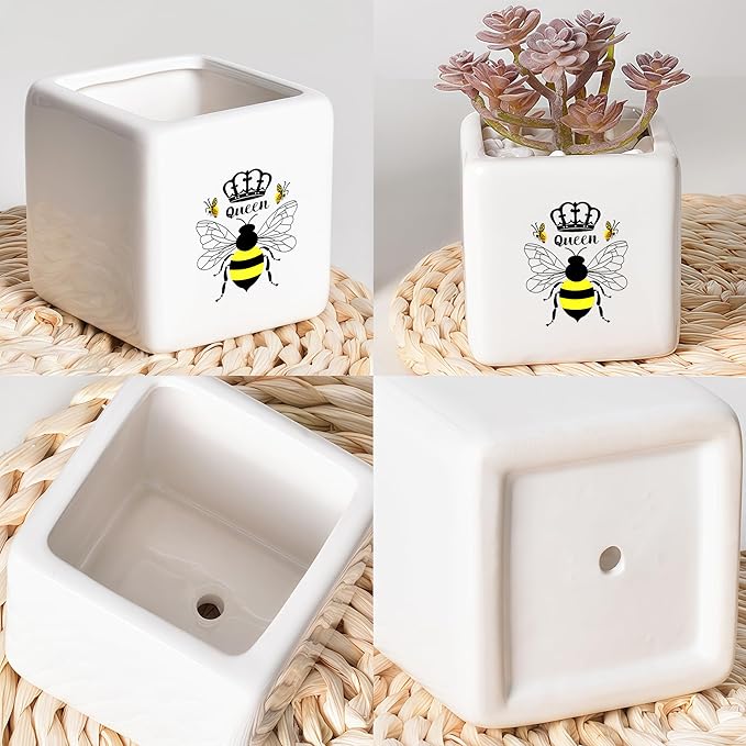 BJDAMAI Bee Succulent Planter Flower Plant Pot Small, Gifts for Women Teens Girls Kids, Bee Lovers Themed Stuff Accessories Things Decor Merch, Home Office Table Desk Decoration!