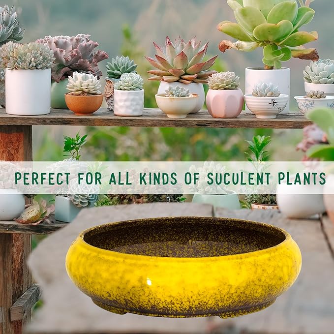 Succulent Pots - 11.5 Inch Ceramic Bonsai Pots with Drainage, Large Shallow Succulent Planters for Indoor Outdoor Plants, Round Glazed Cactus Flower Plant Container Bowl Home Desk Decor(Yellow)