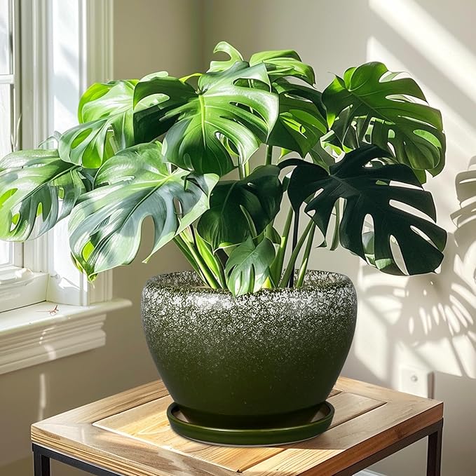 10 Inch Planter Pot - Ceramic Pots for Plants with Drainage Hole and Saucer, Round Large Flower Pot for Indoor Plants, Dark Green