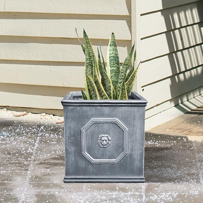 Kante Square Lion Head Concrete Planter, Classic English Style Plant Pot with Drainage Hole and Rubber Plug for Indoor Outdoor Garden Patio Home, 12.6"x12.6"x12.6" Antique Gray