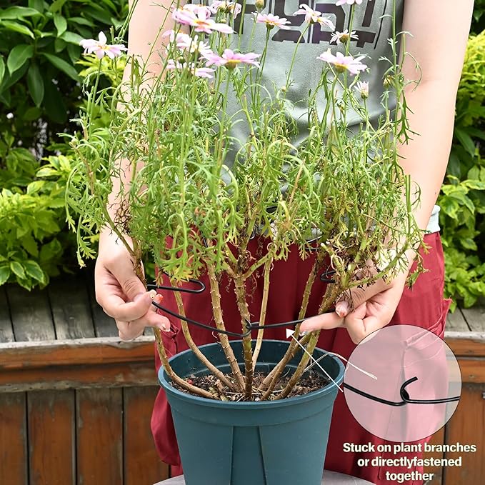 5PCS Monstera Plant Stem Support - 11 * 9.4 Inches, Durable Metal Stake Holder, Adjustable for Indoor Plant Leaf Support. Gentle Clips for Enhanced Stability for Plant Lovers!