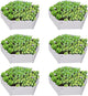 A ANLEOLIFE 6 Set Hexagon Galvanized Raised Garden Beds Outdoor,70x60x18in Metal Planter Box for Planting Vegetables Flowers Herb, Anti-Rust & Easy-Setup, Antique White