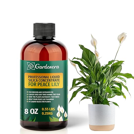 𝐏𝐑𝐄𝐌𝐈𝐔𝐌 Liquid Silica Plant Supplement - 8oz - Peace Lily Plants Liquid Silica Boost Fertilizer - Stronger Stems & Healthy Leaves for Indoor & Outdoor Peace Lily Plants (Makes 45 Gallons)