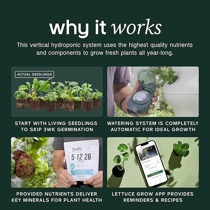 Farmstand Starter Kit + 30 Seedling Credits | Family Hydroponic Growing System Kit | Self-Watering Outdoor Vertical Garden Planter Tower | 5ft 5in | Made in USA