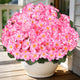 Artificial Geraniums Flowers for Outdoors, 6 Bundles Realistic Silk Fake Geranium, No Fade Faux Plants for Hanging Baskets, Window Boxes, Pots - Porch, Patio, Garden Decor(Pink)